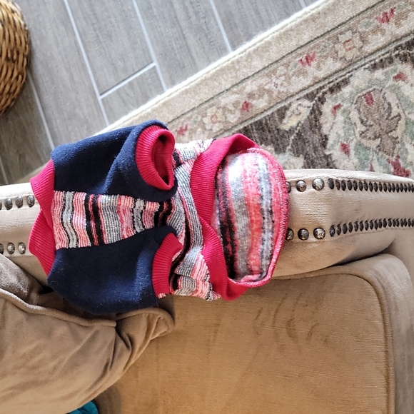 Dog outfit - Picture 2 of 5